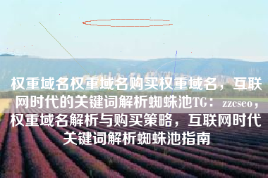 权重域名权重域名购买权重域名，互联网时代的关键词解析蜘蛛池TG：zzcseo，权重域名解析与购买策略，互联网时代关键词解析蜘蛛池指南