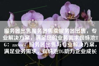服务器出售服务器售卖服务器出售，专业解决方案，满足您的业务需求蜘蛛池TG：zzcseo，服务器出售与专业解决方案，满足业务需求，蜘蛛池TG助力企业成长