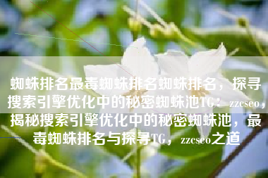 蜘蛛排名最毒蜘蛛排名蜘蛛排名，探寻搜索引擎优化中的秘密蜘蛛池TG：zzcseo，揭秘搜索引擎优化中的秘密蜘蛛池，最毒蜘蛛排名与探寻TG，zzcseo之道
