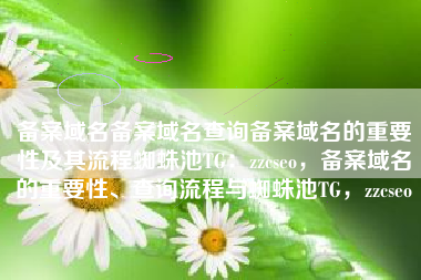 备案域名备案域名查询备案域名的重要性及其流程蜘蛛池TG：zzcseo，备案域名的重要性、查询流程与蜘蛛池TG，zzcseo