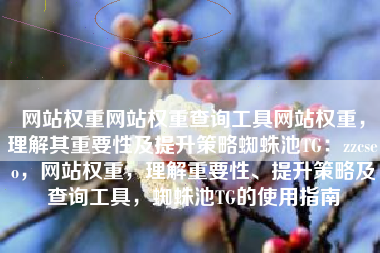网站权重网站权重查询工具网站权重，理解其重要性及提升策略蜘蛛池TG：zzcseo，网站权重，理解重要性、提升策略及查询工具，蜘蛛池TG的使用指南