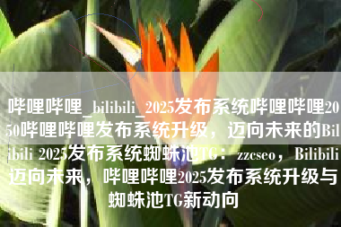 哔哩哔哩_bilibili_2025发布系统哔哩哔哩2050哔哩哔哩发布系统升级，迈向未来的Bilibili 2025发布系统蜘蛛池TG：zzcseo，Bilibili迈向未来，哔哩哔哩2025发布系统升级与蜘蛛池TG新动向