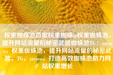 权重蜘蛛池百度权重蜘蛛ip权重蜘蛛池，提升网站流量的秘密武器蜘蛛池TG：zzcseo，权重蜘蛛池，提升网站流量的秘密武器，TG，zzcseo，打造高效蜘蛛池助力网站权重增长
