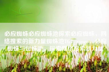 必应蜘蛛必应蜘蛛池探索必应蜘蛛，网络搜索的新力量蜘蛛池TG：zzcseo，必应蜘蛛与蜘蛛池，探索网络搜索新力量