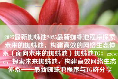 2025最新蜘蛛池2025最新蜘蛛池程序探索未来的蜘蛛池，构建高效的网络生态体系（面向未来的蜘蛛池）蜘蛛池TG：zzcseo，探索未来蜘蛛池，构建高效网络生态体系——最新蜘蛛池程序与TG群分享