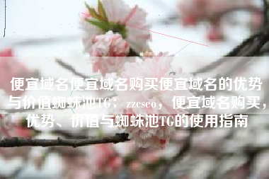 便宜域名便宜域名购买便宜域名的优势与价值蜘蛛池TG：zzcseo，便宜域名购买，优势、价值与蜘蛛池TG的使用指南