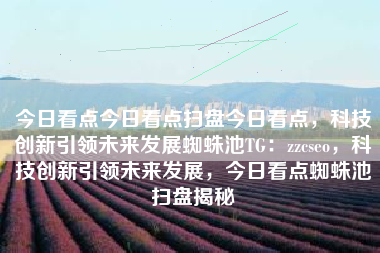 今日看点今日看点扫盘今日看点，科技创新引领未来发展蜘蛛池TG：zzcseo，科技创新引领未来发展，今日看点蜘蛛池扫盘揭秘