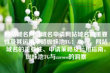 网站域名网站域名申请网站域名的重要性及其运用策略蜘蛛池TG：zzcseo，网站域名的重要性、申请策略及运用指南，蜘蛛池TG与zzcseo的洞察