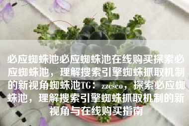 必应蜘蛛池必应蜘蛛池在线购买探索必应蜘蛛池，理解搜索引擎蜘蛛抓取机制的新视角蜘蛛池TG：zzcseo，探索必应蜘蛛池，理解搜索引擎蜘蛛抓取机制的新视角与在线购买指南