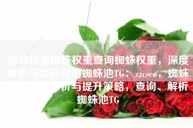 蜘蛛权重蜘蛛权重查询蜘蛛权重，深度解析与提升策略蜘蛛池TG：zzcseo，蜘蛛权重深度解析与提升策略，查询、解析蜘蛛池TG