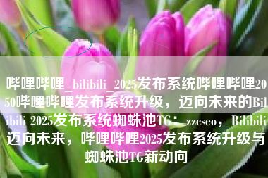 哔哩哔哩_bilibili_2025发布系统哔哩哔哩2050哔哩哔哩发布系统升级，迈向未来的Bilibili 2025发布系统蜘蛛池TG：zzcseo，Bilibili迈向未来，哔哩哔哩2025发布系统升级与蜘蛛池TG新动向