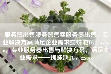 服务器出售服务器售卖服务器出售，专业解决方案满足企业需求蜘蛛池TG：zzcseo，专业服务器出售与解决方案，满足企业需求——蜘蛛池TG，zzcseo