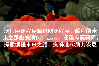 泛程序泛程序源码网泛程序，编程的未来之路蜘蛛池TG：zzcseo，泛程序源码网，探索编程未来之路，蜘蛛池TG助力发展