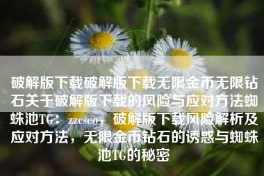 破解版下载破解版下载无限金币无限钻石关于破解版下载的风险与应对方法蜘蛛池TG：zzcseo，破解版下载风险解析及应对方法，无限金币钻石的诱惑与蜘蛛池TG的秘密