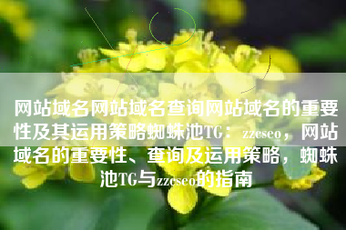 网站域名网站域名查询网站域名的重要性及其运用策略蜘蛛池TG：zzcseo，网站域名的重要性、查询及运用策略，蜘蛛池TG与zzcseo的指南