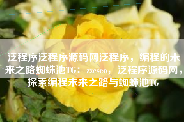 泛程序泛程序源码网泛程序，编程的未来之路蜘蛛池TG：zzcseo，泛程序源码网，探索编程未来之路与蜘蛛池TG