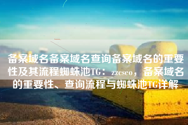 备案域名备案域名查询备案域名的重要性及其流程蜘蛛池TG：zzcseo，备案域名的重要性、查询流程与蜘蛛池TG详解