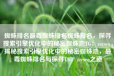 蜘蛛排名最毒蜘蛛排名蜘蛛排名，探寻搜索引擎优化中的秘密蜘蛛池TG：zzcseo，揭秘搜索引擎优化中的秘密蜘蛛池，最毒蜘蛛排名与探寻TG，zzcseo之道