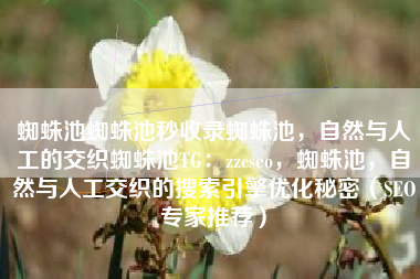 蜘蛛池蜘蛛池秒收录蜘蛛池，自然与人工的交织蜘蛛池TG：zzcseo，蜘蛛池，自然与人工交织的搜索引擎优化秘密（SEO专家推荐）