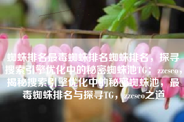 蜘蛛排名最毒蜘蛛排名蜘蛛排名，探寻搜索引擎优化中的秘密蜘蛛池TG：zzcseo，揭秘搜索引擎优化中的秘密蜘蛛池，最毒蜘蛛排名与探寻TG，zzcseo之道
