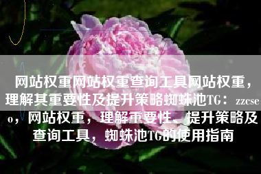 网站权重网站权重查询工具网站权重，理解其重要性及提升策略蜘蛛池TG：zzcseo，网站权重，理解重要性、提升策略及查询工具，蜘蛛池TG的使用指南