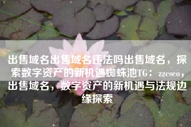 出售域名出售域名违法吗出售域名，探索数字资产的新机遇蜘蛛池TG：zzcseo，出售域名，数字资产的新机遇与法规边缘探索