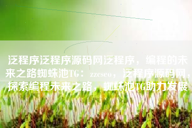 泛程序泛程序源码网泛程序，编程的未来之路蜘蛛池TG：zzcseo，泛程序源码网，探索编程未来之路，蜘蛛池TG助力发展