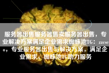服务器出售服务器售卖服务器出售，专业解决方案满足企业需求蜘蛛池TG：zzcseo，专业服务器出售与解决方案，满足企业需求，蜘蛛池TG助力服务