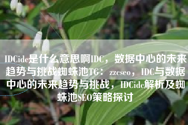 IDCidc是什么意思啊IDC，数据中心的未来趋势与挑战蜘蛛池TG：zzcseo，IDC与数据中心的未来趋势与挑战，IDCidc解析及蜘蛛池SEO策略探讨