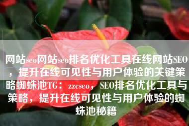 网站seo网站seo排名优化工具在线网站SEO，提升在线可见性与用户体验的关键策略蜘蛛池TG：zzcseo，SEO排名优化工具与策略，提升在线可见性与用户体验的蜘蛛池秘籍