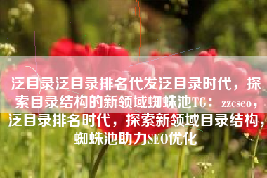 泛目录泛目录排名代发泛目录时代，探索目录结构的新领域蜘蛛池TG：zzcseo，泛目录排名时代，探索新领域目录结构，蜘蛛池助力SEO优化
