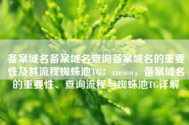 备案域名备案域名查询备案域名的重要性及其流程蜘蛛池TG：zzcseo，备案域名的重要性、查询流程与蜘蛛池TG详解
