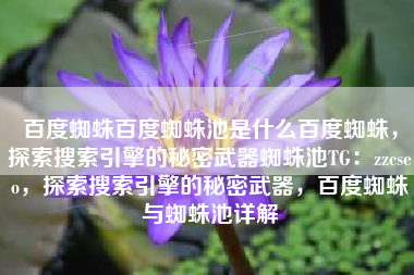 百度蜘蛛百度蜘蛛池是什么百度蜘蛛，探索搜索引擎的秘密武器蜘蛛池TG：zzcseo，探索搜索引擎的秘密武器，百度蜘蛛与蜘蛛池详解