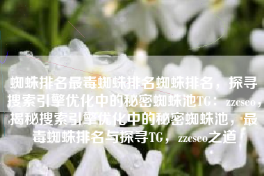 蜘蛛排名最毒蜘蛛排名蜘蛛排名，探寻搜索引擎优化中的秘密蜘蛛池TG：zzcseo，揭秘搜索引擎优化中的秘密蜘蛛池，最毒蜘蛛排名与探寻TG，zzcseo之道