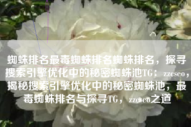 蜘蛛排名最毒蜘蛛排名蜘蛛排名，探寻搜索引擎优化中的秘密蜘蛛池TG：zzcseo，揭秘搜索引擎优化中的秘密蜘蛛池，最毒蜘蛛排名与探寻TG，zzcseo之道