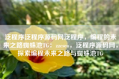 泛程序泛程序源码网泛程序，编程的未来之路蜘蛛池TG：zzcseo，泛程序源码网，探索编程未来之路与蜘蛛池TG