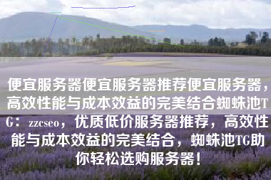 便宜服务器便宜服务器推荐便宜服务器，高效性能与成本效益的完美结合蜘蛛池TG：zzcseo，优质低价服务器推荐，高效性能与成本效益的完美结合，蜘蛛池TG助你轻松选购服务器！