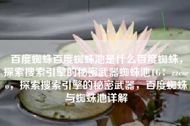 百度蜘蛛百度蜘蛛池是什么百度蜘蛛，探索搜索引擎的秘密武器蜘蛛池TG：zzcseo，探索搜索引擎的秘密武器，百度蜘蛛与蜘蛛池详解