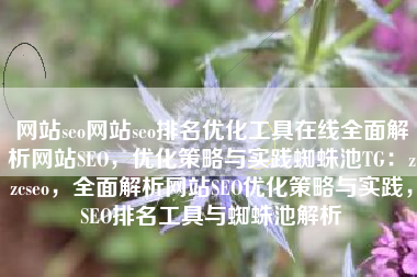 网站seo网站seo排名优化工具在线全面解析网站SEO，优化策略与实践蜘蛛池TG：zzcseo，全面解析网站SEO优化策略与实践，SEO排名工具与蜘蛛池解析