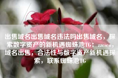 出售域名出售域名违法吗出售域名，探索数字资产的新机遇蜘蛛池TG：zzcseo，域名出售，合法性与数字资产新机遇探索，联系蜘蛛池TG