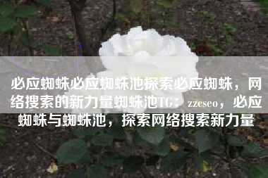 必应蜘蛛必应蜘蛛池探索必应蜘蛛，网络搜索的新力量蜘蛛池TG：zzcseo，必应蜘蛛与蜘蛛池，探索网络搜索新力量