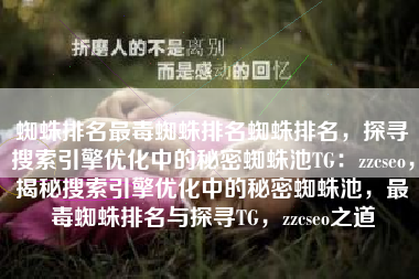 蜘蛛排名最毒蜘蛛排名蜘蛛排名，探寻搜索引擎优化中的秘密蜘蛛池TG：zzcseo，揭秘搜索引擎优化中的秘密蜘蛛池，最毒蜘蛛排名与探寻TG，zzcseo之道