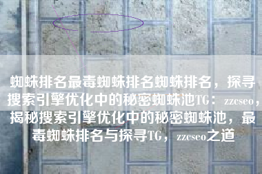 蜘蛛排名最毒蜘蛛排名蜘蛛排名，探寻搜索引擎优化中的秘密蜘蛛池TG：zzcseo，揭秘搜索引擎优化中的秘密蜘蛛池，最毒蜘蛛排名与探寻TG，zzcseo之道