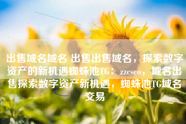 出售域名域名 出售出售域名，探索数字资产的新机遇蜘蛛池TG：zzcseo，域名出售探索数字资产新机遇，蜘蛛池TG域名交易