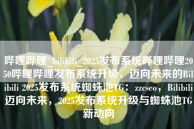 哔哩哔哩_bilibili_2025发布系统哔哩哔哩2050哔哩哔哩发布系统升级，迈向未来的Bilibili 2025发布系统蜘蛛池TG：zzcseo，Bilibili迈向未来，2025发布系统升级与蜘蛛池TG新动向