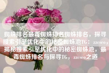 蜘蛛排名最毒蜘蛛排名蜘蛛排名，探寻搜索引擎优化中的秘密蜘蛛池TG：zzcseo，揭秘搜索引擎优化中的秘密蜘蛛池，最毒蜘蛛排名与探寻TG，zzcseo之道
