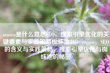 seoseo是什么意思SEO，搜索引擎优化的关键要素与实践策略蜘蛛池TG：zzcseo，SEO的含义与实践策略，搜索引擎优化与蜘蛛池的秘密