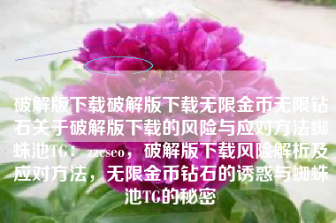 破解版下载破解版下载无限金币无限钻石关于破解版下载的风险与应对方法蜘蛛池TG：zzcseo，破解版下载风险解析及应对方法，无限金币钻石的诱惑与蜘蛛池TG的秘密