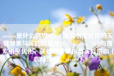 seoseo是什么意思SEO，搜索引擎优化的关键要素与实践蜘蛛池TG：zzcseo，SEO与搜索引擎优化，关键要素解析与实践指南（蜘蛛池TG，zzcseo）
