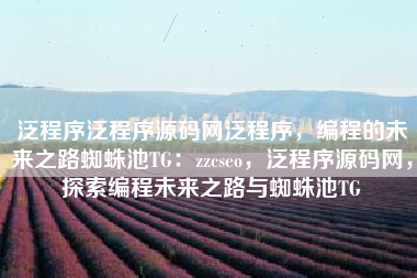 泛程序泛程序源码网泛程序，编程的未来之路蜘蛛池TG：zzcseo，泛程序源码网，探索编程未来之路与蜘蛛池TG